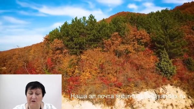 Лекция 2 (Педагог Димитриенко Л.Е.) смотреть онлайн