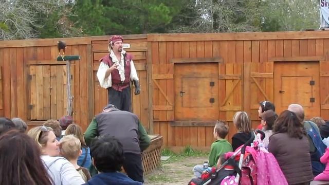 Sherwood Forest Faire 2012 - Birds of Prey - Tango the Hawk смотреть онлайн