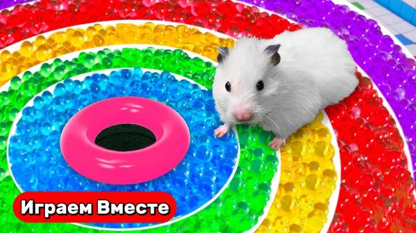 Разноцветный лабиринт для Хомяка ! Выбираемся из лабиринта с ловушками ! Видео для детей