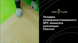 Укладка SPC ламината DAMY FLOOR коллекции Chevron
