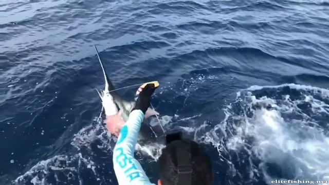 Elitefishing.net представляет:медленно и уверено,,, смотреть онлайн