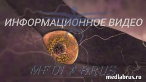 Овуляция – ключевой момент женского цикла