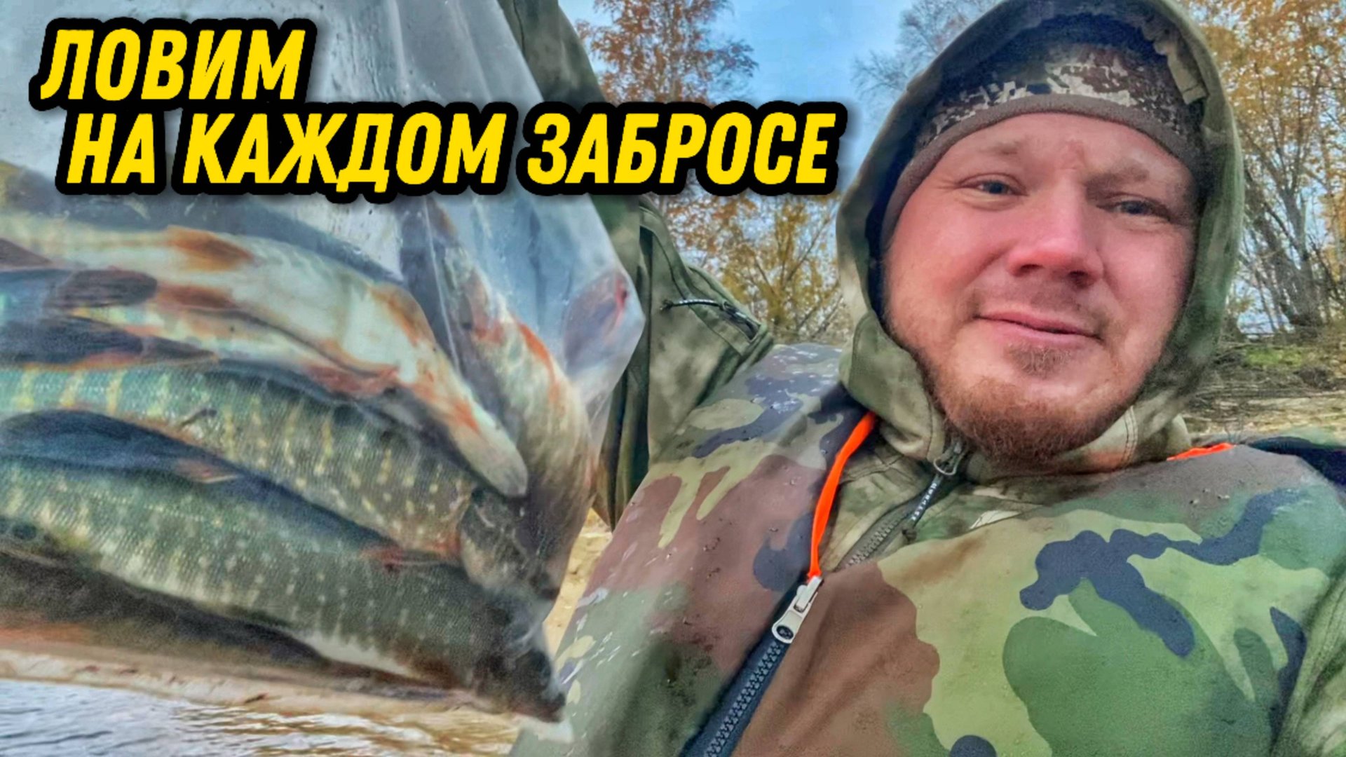 Рыбалка на Оби. Подведение третьего водомоторного сезона на комплекте Mishimo 370 Sport + Promax 9.9