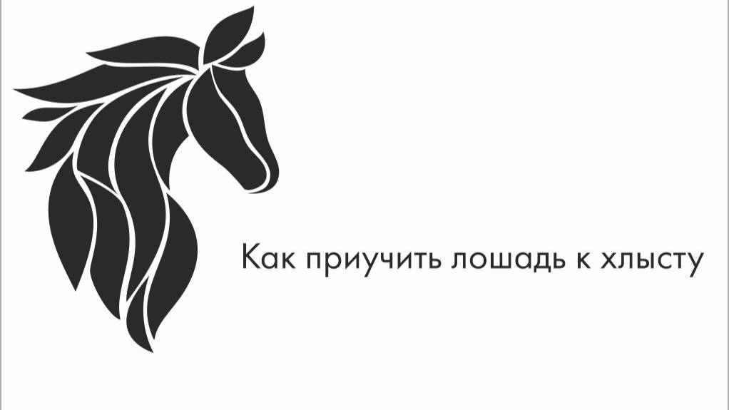 Как приучить лошадь к хлысту смотреть онлайн