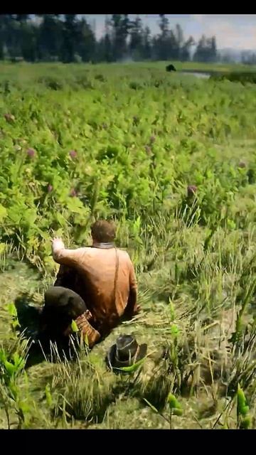 Arthur catch a beautiful Horse But #rdr2 #youtubeshorts #arthurmorgan смотреть онлайн
