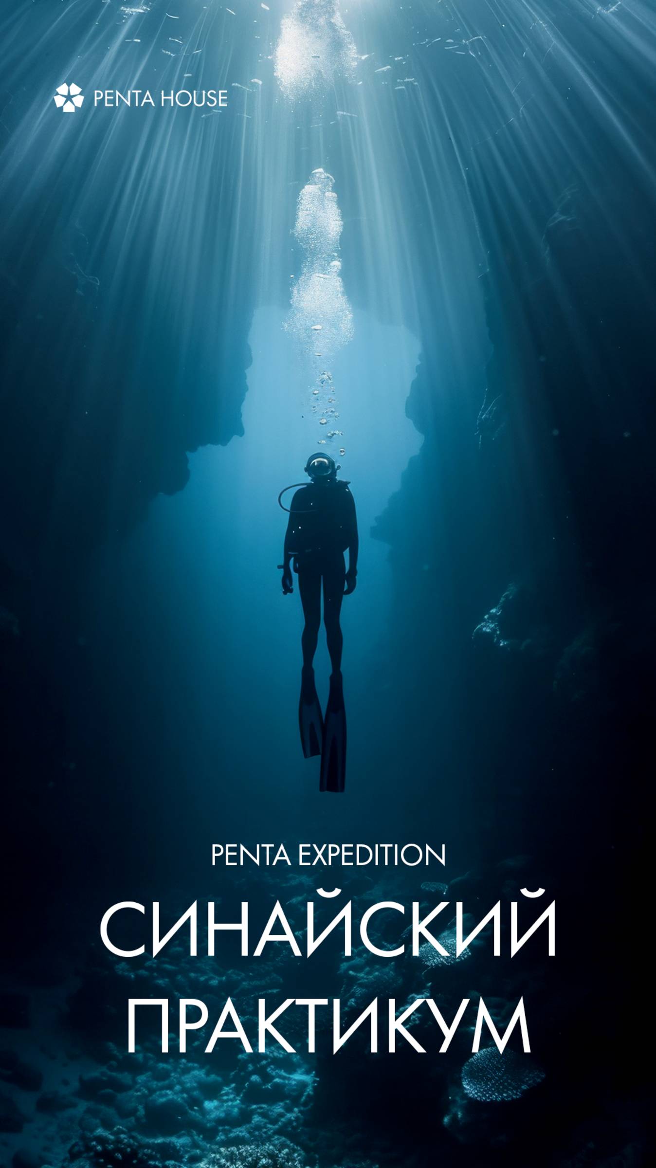 PENTA EXPEDITION // ЕГИПЕТ 2024 смотреть онлайн