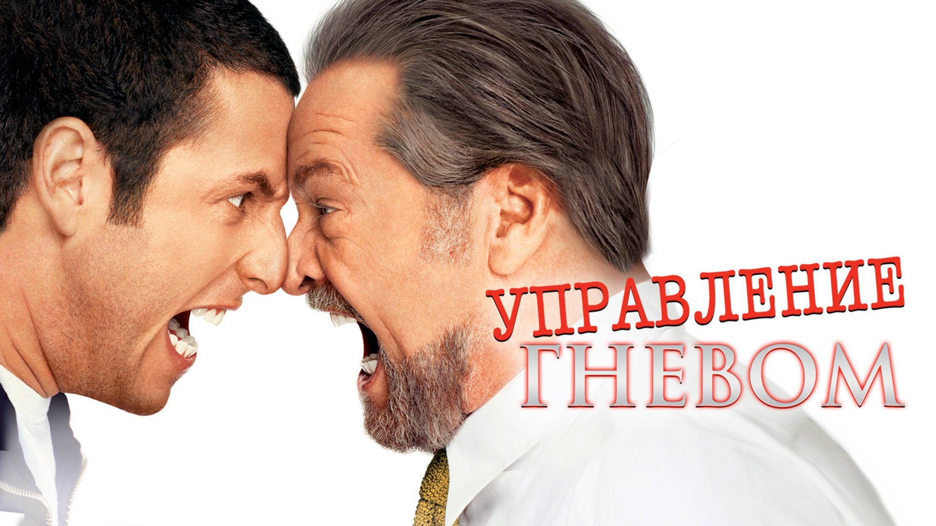 Управление гневом | Anger Management (2003) смотреть онлайн