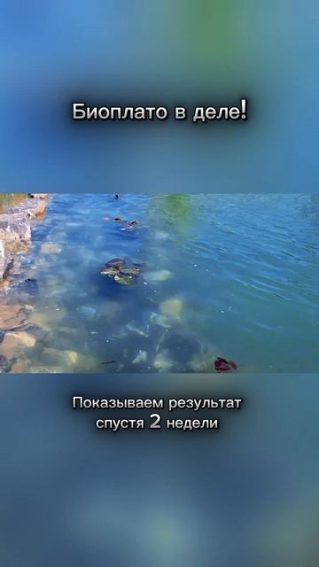 Самоочищающийся пруд | строительство пруда | пруд на даче | пруд с биоплато смотреть онлайн