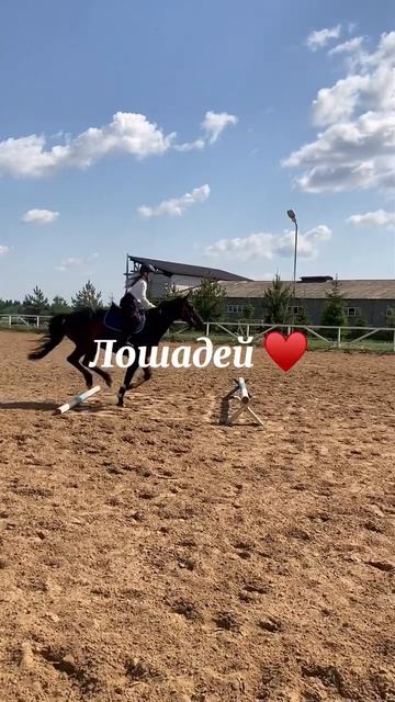 #лошади #horse #конныйспорт #любовь #эдит смотреть онлайн
