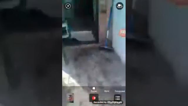 Короче говоря момо в реальной жизни смотреть онлайн