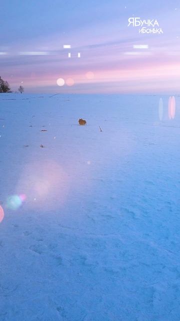 Красивое зимне поле, хороша Матушка Россия