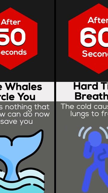 Timeline: What If You Were Swallowed By A Whale #shorts смотреть онлайн