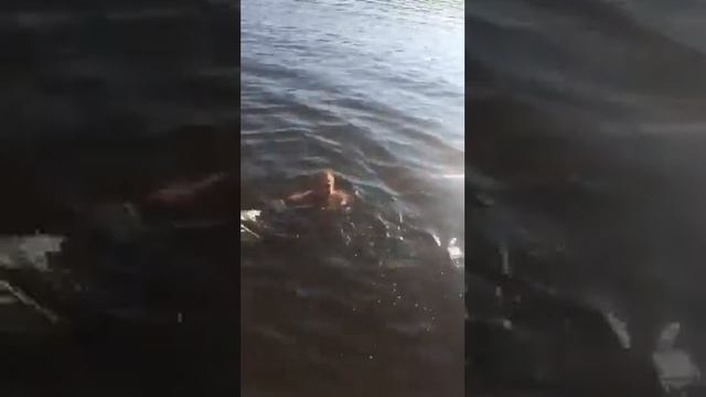 Нырок с велосипедом (а че нам!) смотреть онлайн