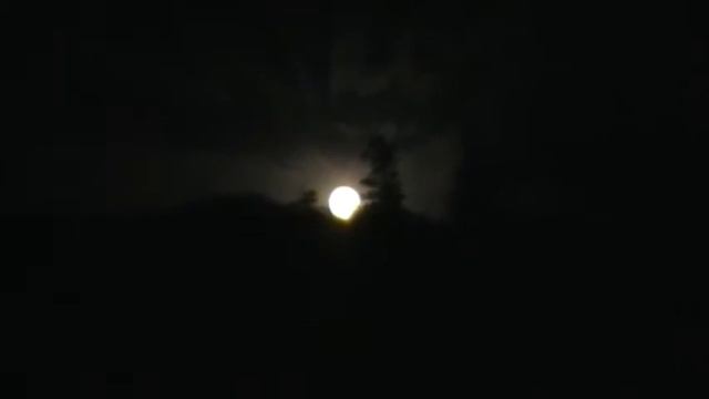 moon смотреть онлайн