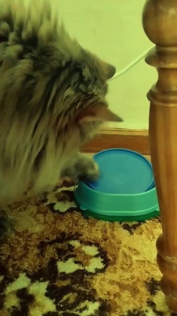 #игра #интересно #крапива #furry #врек #танец #рекомендации #dance #roblox #dinomask смотреть онлайн