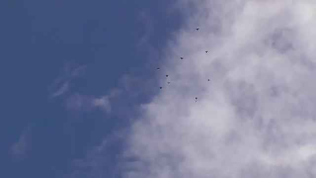 Николаевские голуби смотреть онлайн