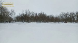 Воркута. 09-10.02.25. Не летная погода.....