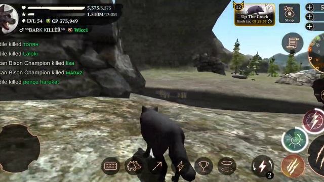 The Wolf- American Bison Champion 🏆 смотреть онлайн