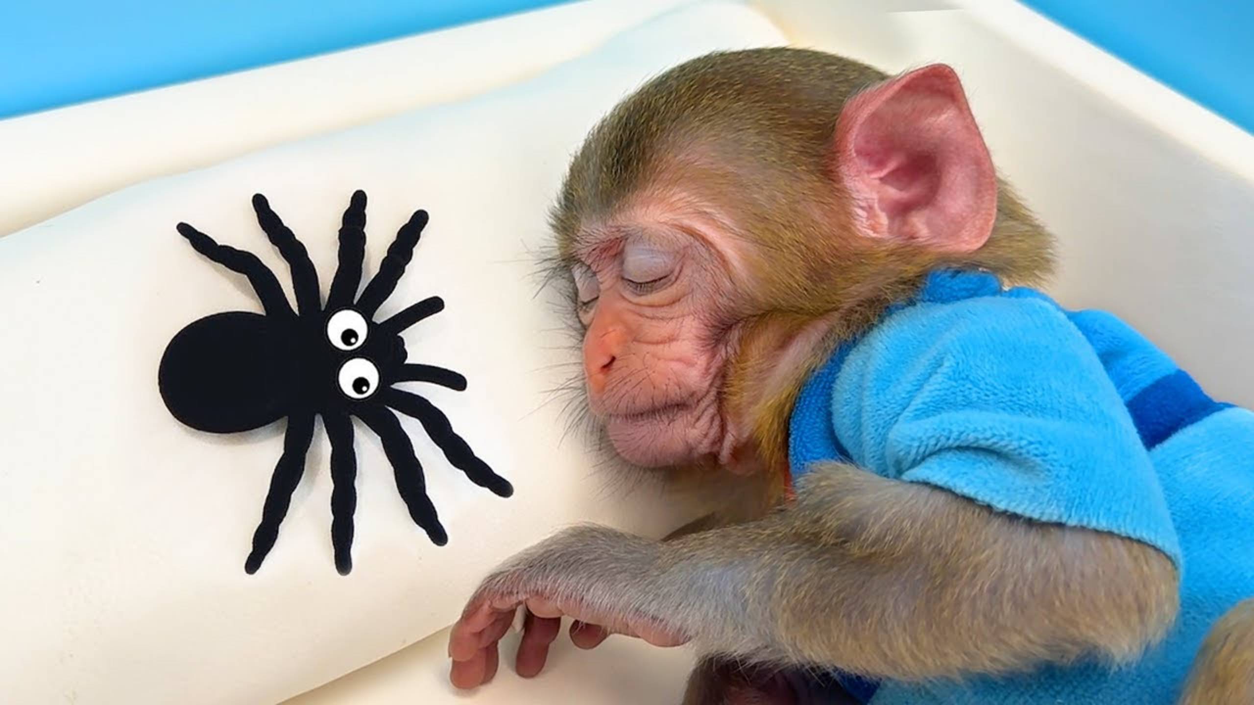 Чичи катается на самокате и ест мороженное|Чичи помогает друзьям|Малыш Чичи смотреть онлайн