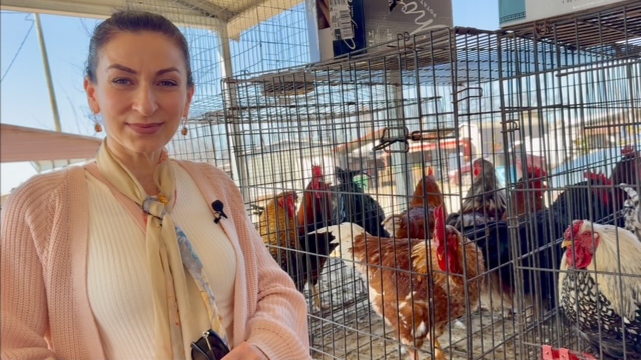 Обзор Покупок | Готовлю Любимое Блюдо Папы 🥔 🥓 | Семейный Влог | Эгине | Heghineh смотреть онлайн