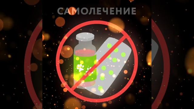самолечение смотреть онлайн