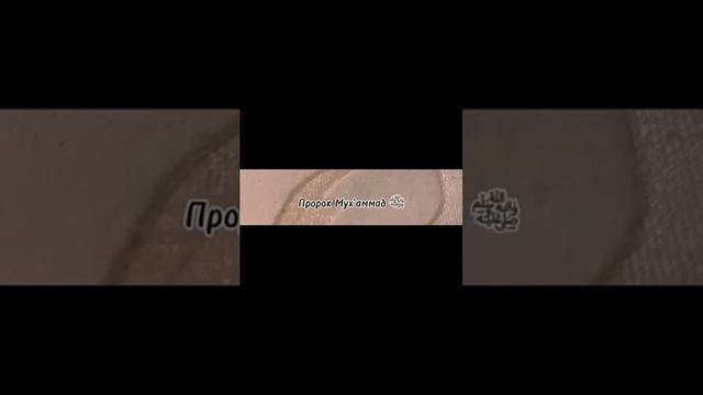 #ислам #религия #мира #добра #аллахуакбар #намаз #молитва #утреннийнамаз #судныйдень (360p) смотреть онлайн