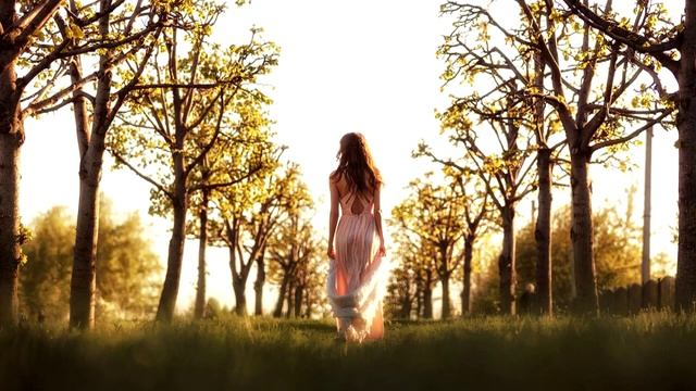 Лезгинка 2016. Ильяс Эбиев - Цветущая весна смотреть онлайн