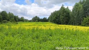 Усадьбы Солнечногорска: Тараканово, Шахматово, Боблово