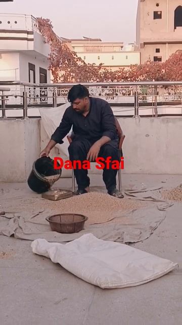 Breed Lena 🤣 Assan nai Mehnat Karani Parti hai| #shorts #meradihat #shehrmaindehat #birdstagram смотреть онлайн