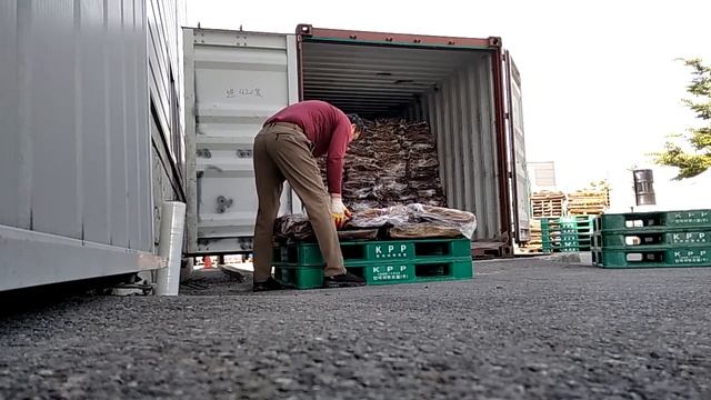 разгрузка контейнера 40 тонны одному 😭 работа для нелегал мигрантов 🤔 125000 вон в другом городе 🤗 смотреть онлайн