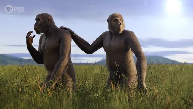 Our Most Mysterious Extinct Cousins смотреть онлайн