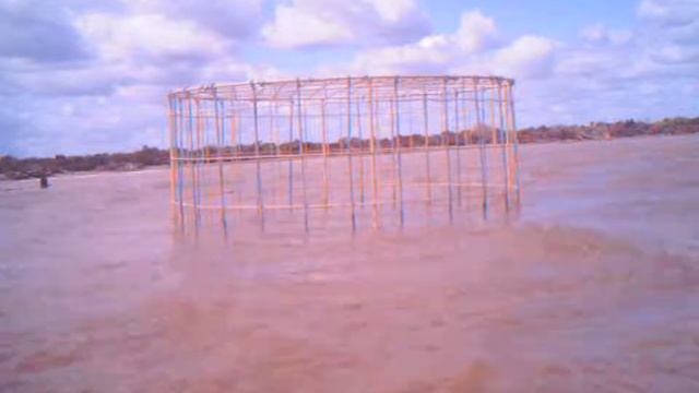 Flooded hooded plover nest cage смотреть онлайн
