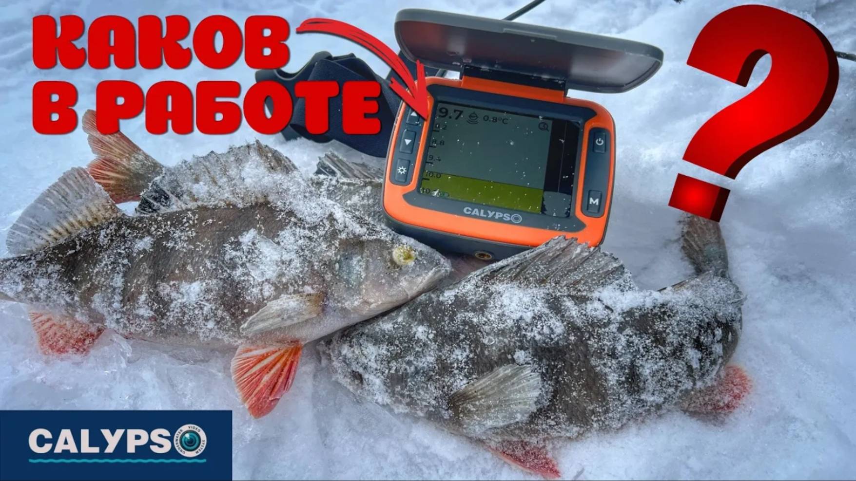 ЭХОЛОТ CALYPSO ТЕСТ НА РЫБАЛКЕ 🎣. КАК ПОКАЗЫВАЕТ РЫБУ? Поклевка на эхолот. смотреть онлайн