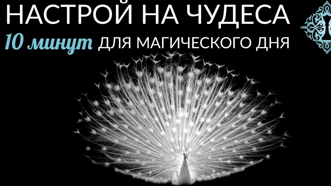 📹 НАСТРОЙ НА ЧУДЕСА. Утренний ритуал от Ады Кондэ. #АдаКондэНастрой → 👤 АДА КОНДЭ → смотреть онлайн