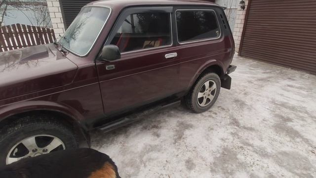 Моя Нива - топчик! Езжу быстро, а ест мало): 11 л., 92-го, зимой в смешанном цикле на масле Танеко Э смотреть онлайн