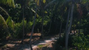 Необитаемый остров