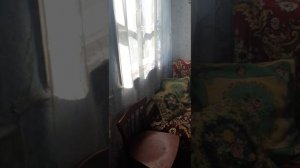 1739363181287.3gp