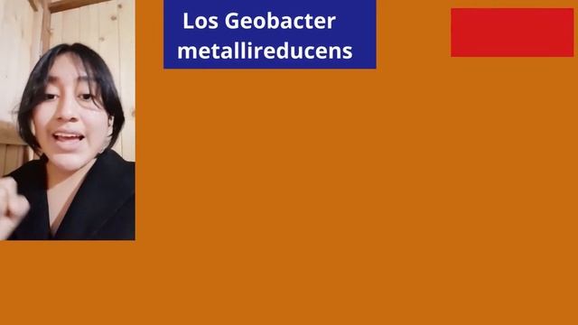 LAS BACTERIAS BENÉFICAS Y PERJUDICIALES смотреть онлайн