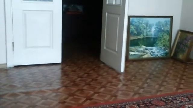 Кот , выполняющий команду АППОРТ смотреть онлайн