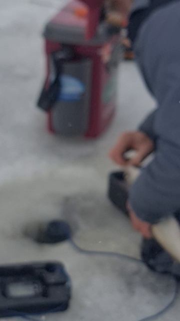 Поимка сига смотреть онлайн