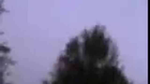 Охота на Вальдшнепа смотреть онлайн