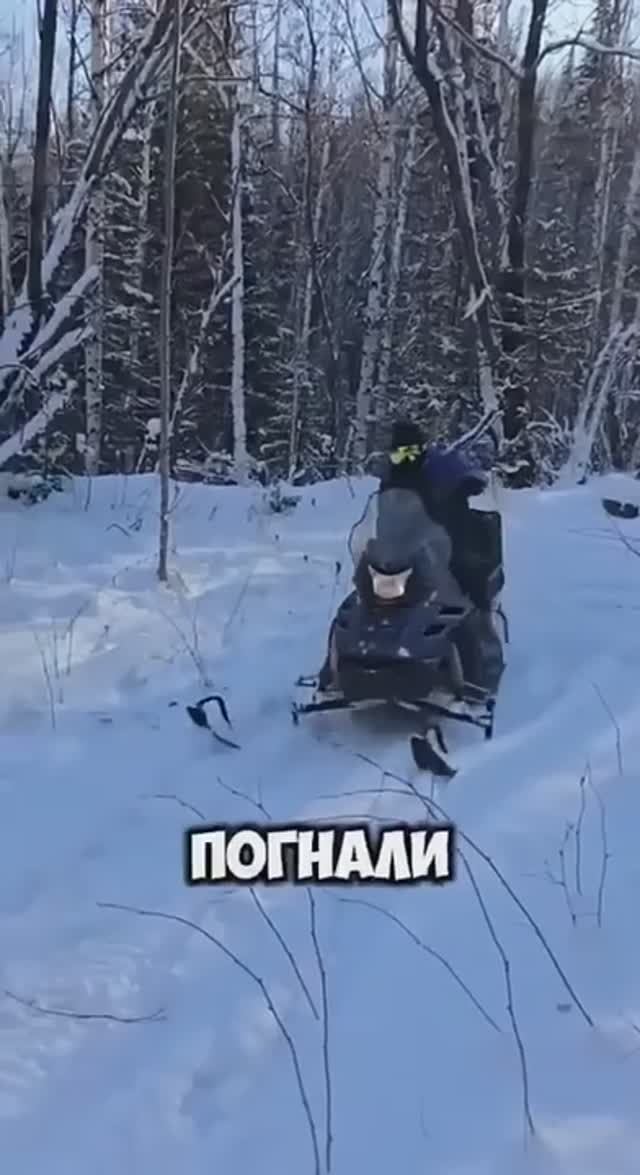 Расход топлива IRBIS SF200L и IRBIS SF200SL смотреть онлайн