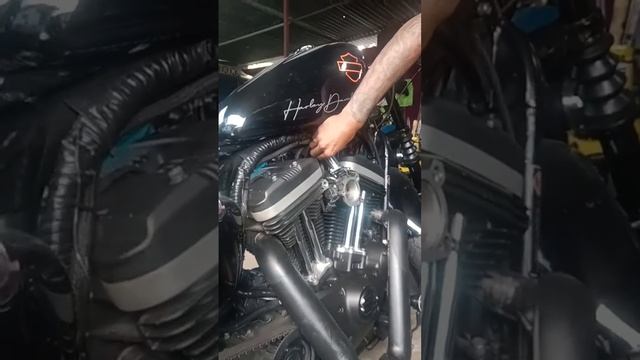 idle control manual harley davidson sportster 48 смотреть онлайн