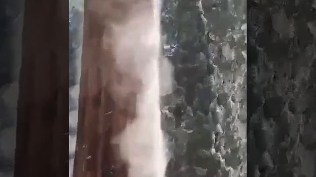 Испарения на дереве под палящим солнцем после продолжительного снегопада — выглядит потрясающе. смотреть онлайн