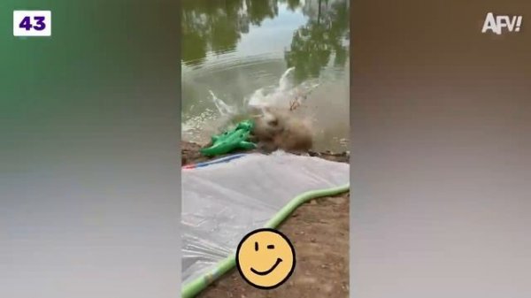 Funniest Fails Of The Week