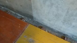 Что делать, если скрипят полы и как устранить скрип деревянного пола без денежных затрат.