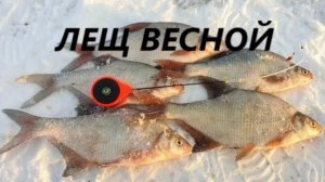 ЛЕЩ в НАЧАЛЕ ВЕСНЫ! КАК ЛОВИТЬ ЛЕЩА, КОГДА ЛЁД НАЧИНАЕТ ТАЯТЬ? МЕСТА и НАЖИВКИ для ЛОВЛИ ЛЕЩА ВЕСНОЙ