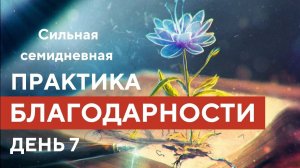 БЛАГОДАРНОСТЬ СЕБЕ, СВОЕЙ ДУШЕ.