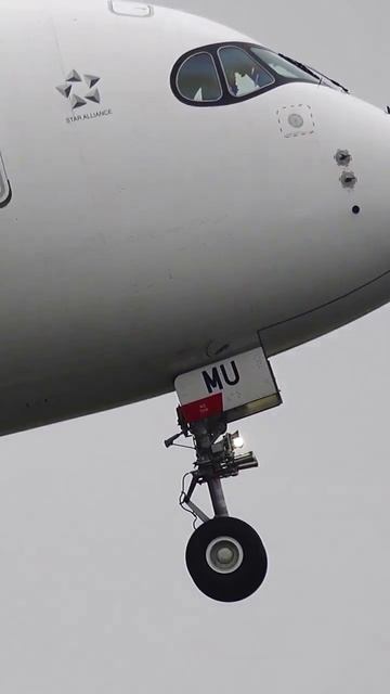 23 смотреть онлайн