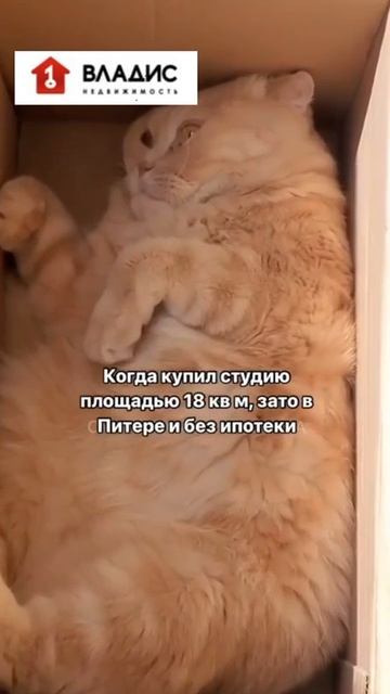 якуничева смотреть онлайн